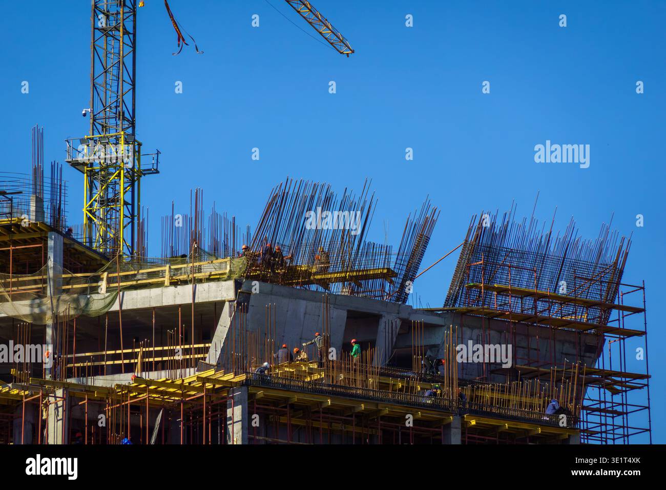 Construction workers install rebar and formwork on multi story concrete building, tower crane visible against clear blue sky. Stock Photo