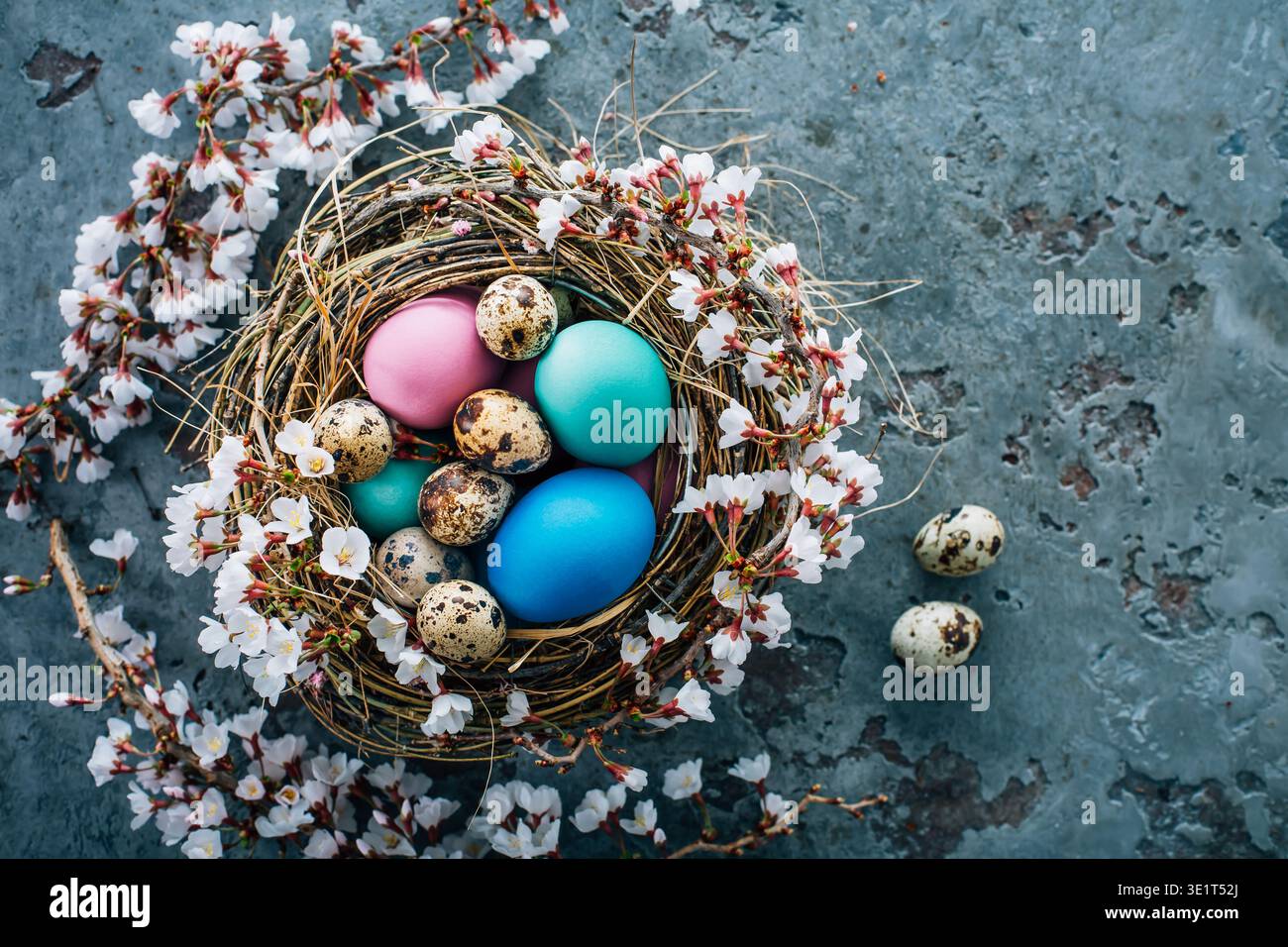 Colorful Easter eggs in a nest with flowering branch Stock Photo