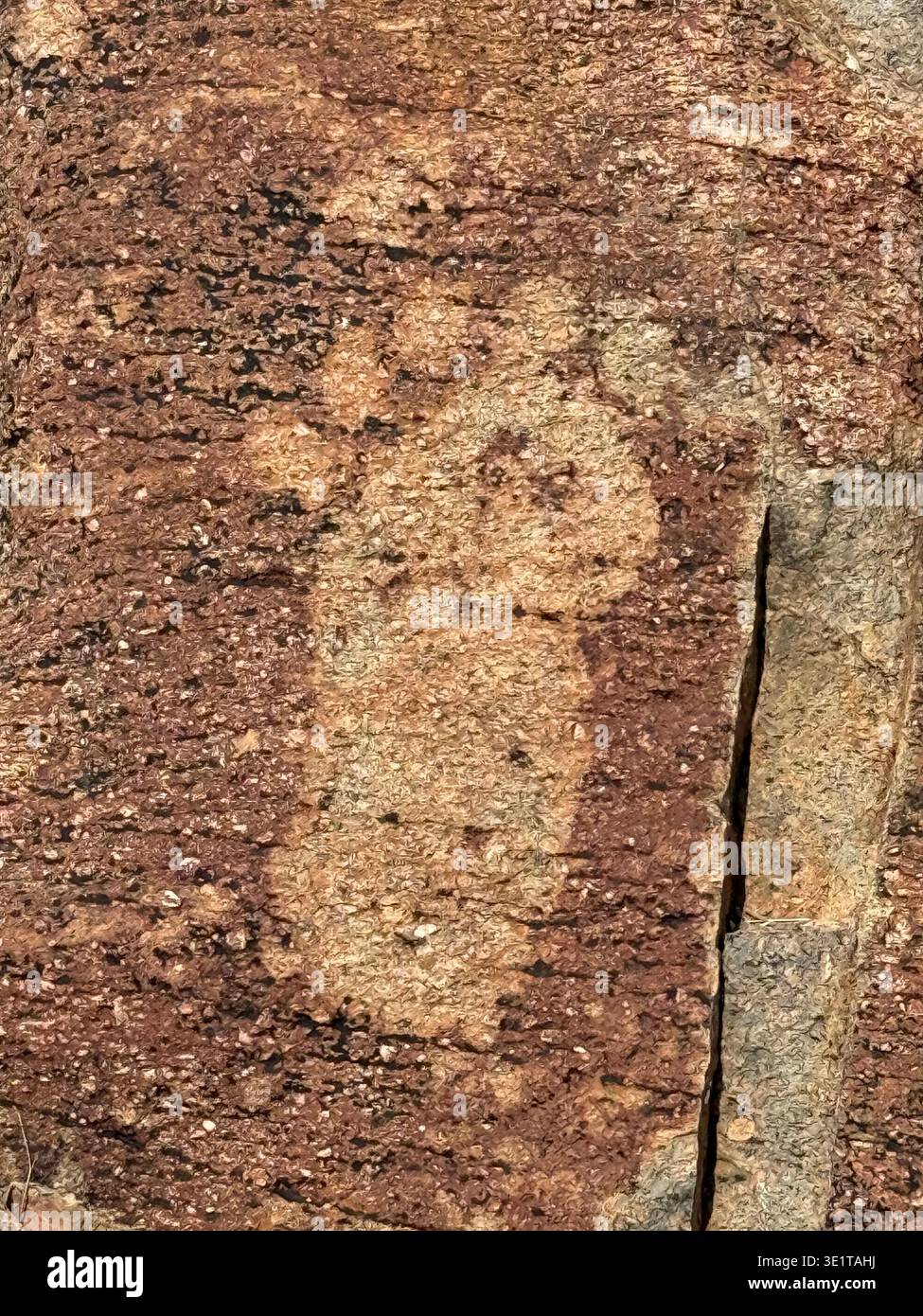 Ancient rock art of a human footprint Namibia - Smartphone Captured Stock Image