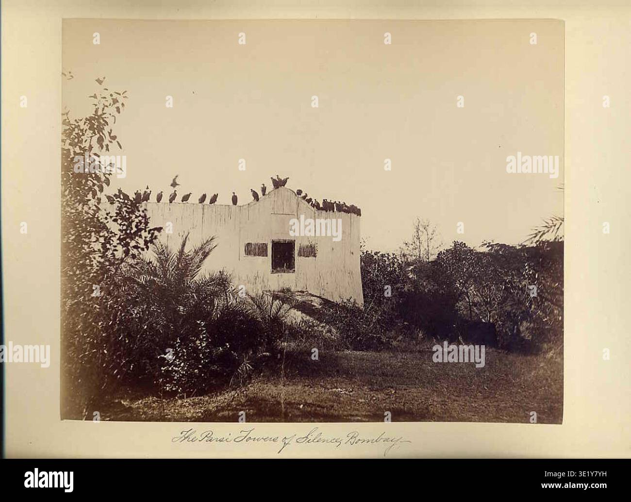 Bourne and Shepherd was a nineteenth-century photography firm active in British India that documented architecture and landscapes through studio photography. The archival photographic record documents an albumen photographic print titled "Parsee Tower of Silence, Bombay" dating to the 1880s showing the funerary complex associated with Zoroastrian burial practices on Malabar Hill. Stock Photo