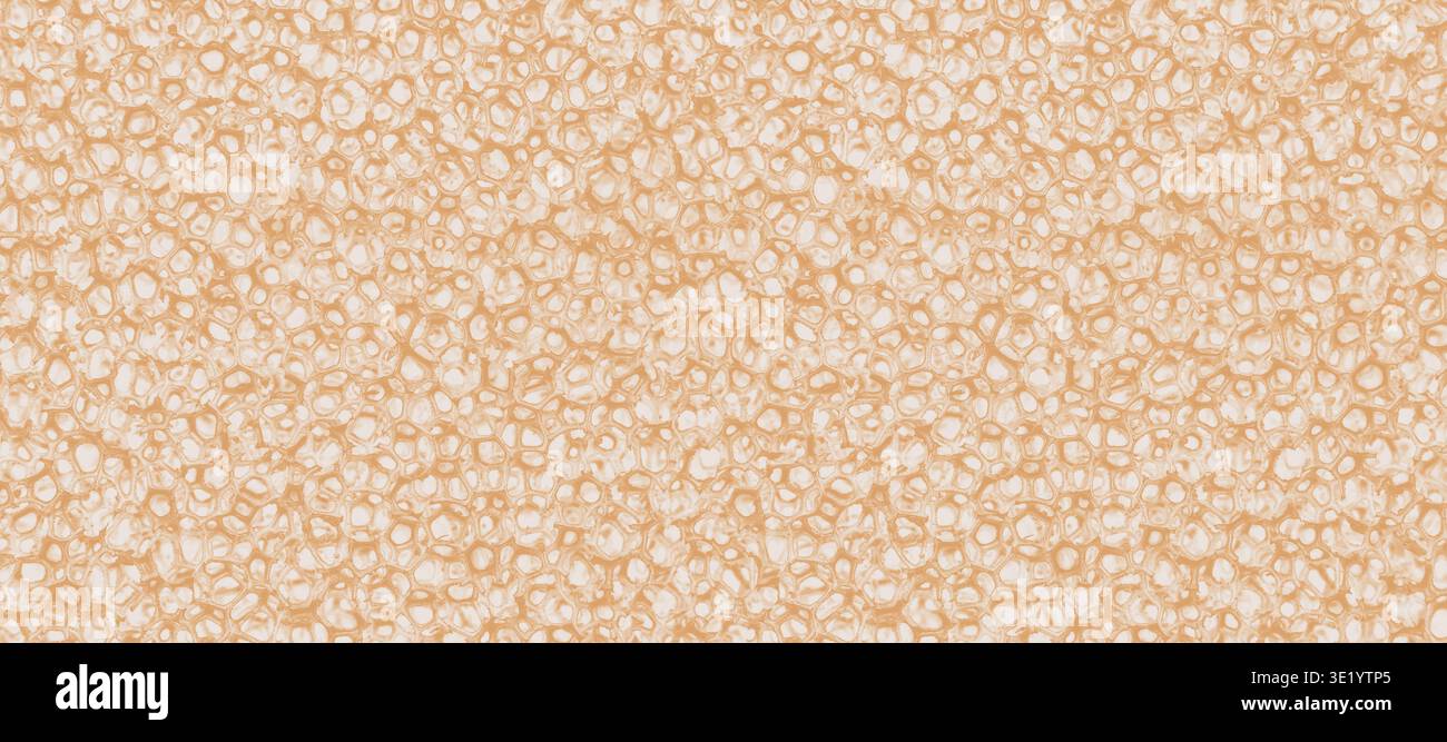 uniform porous foam polyurethane rubber background Stock Photo
