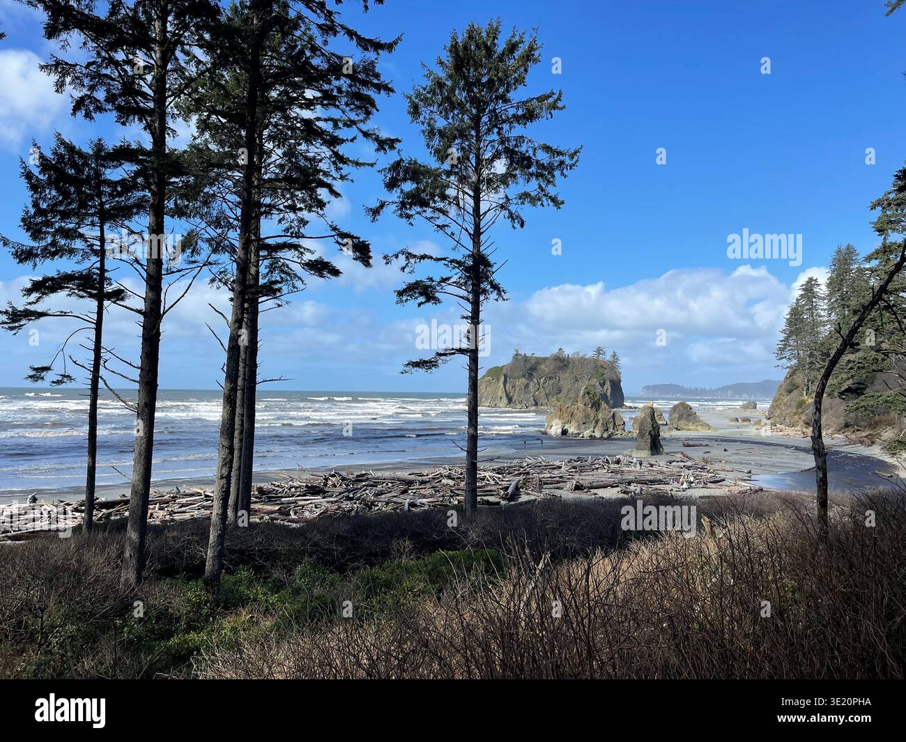 View of Ruby Beach on the Pacific coast in Olympic National Park, Washington, USA, with driftwood, surf and forested cliffs Stock Photo