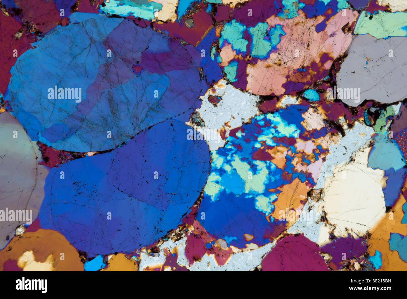 Polarised light micrograph of Middle Bunter sandstone from a boulder field in Welzberg by Calw, Black Forest, Germany. Bunter sandstone mainly consists of sandstone layers of the Lower Triassic series. It is one of three characteristic Triassic units, together with the Muschelkalk and Keuper that form the Germanic Trias Supergroup. Bunter sandstone is similar in age, facies and lithology to the Bunter of the British Isles. It normally lies above Permian Zechstein and below Muschelkalk. It formed between 251 and 243 million years ago. Magnification: x60 when printed at 15 centimetres wide. Stock Photo