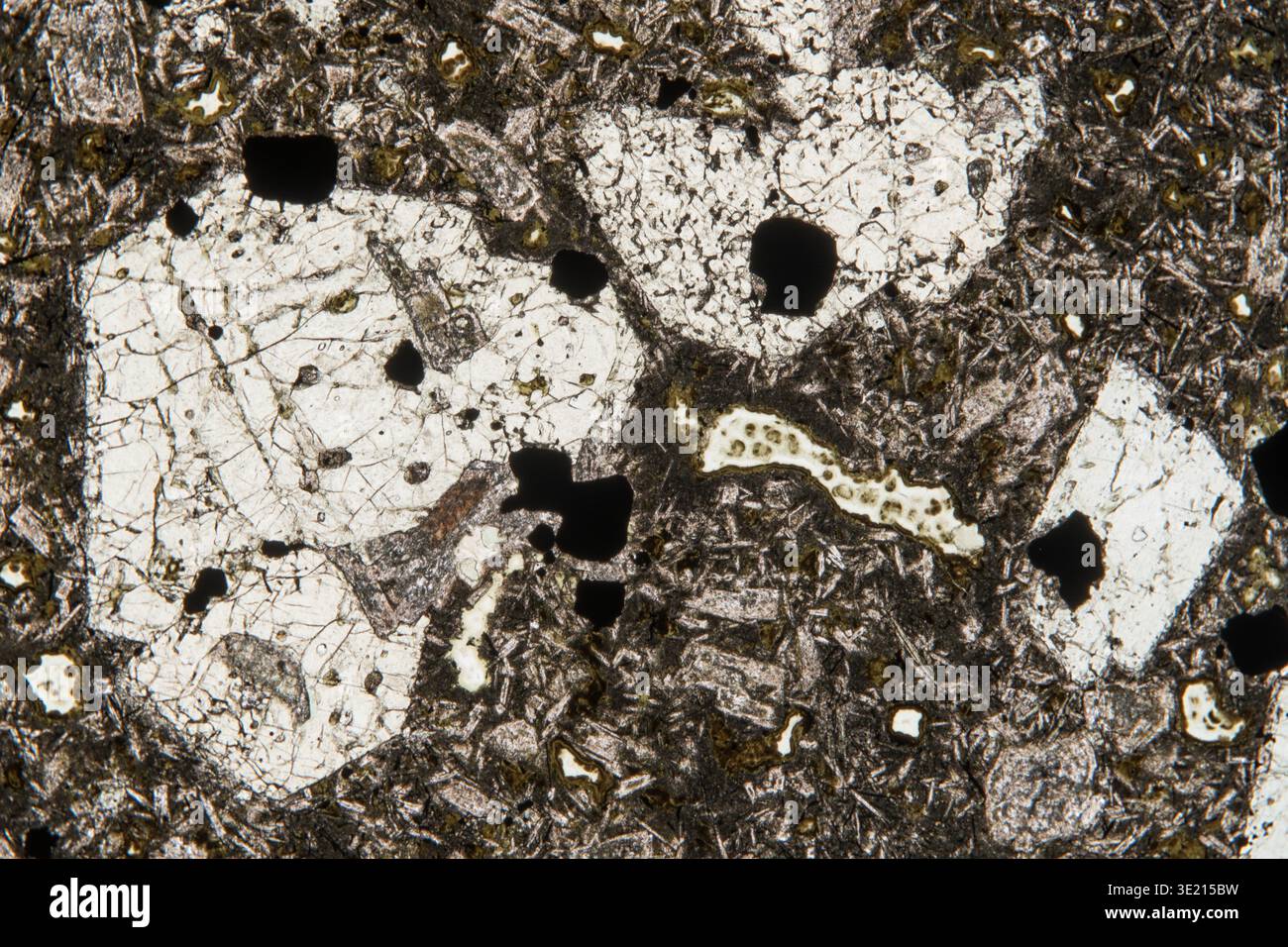 Light micrograph of a sample of basalt from Seis, South Tyrol, Italy. Basalt is formed when the earth's mantle melts. The thin, low-silica magma cools relatively quickly when released to the Earth's surface or ocean. The magma usually contains inclusions (xenocryst) of minerals or entire rocks (xenolite) with a higher melting point, which were carried along during the ascent. Basalt consists mainly of a mixture of iron and magnesium silicates with pyroxene and calcium-rich feldspar (plagioclase) and also olivine. Magnification: x30 when printed at 15 centimetres wide. Stock Photo