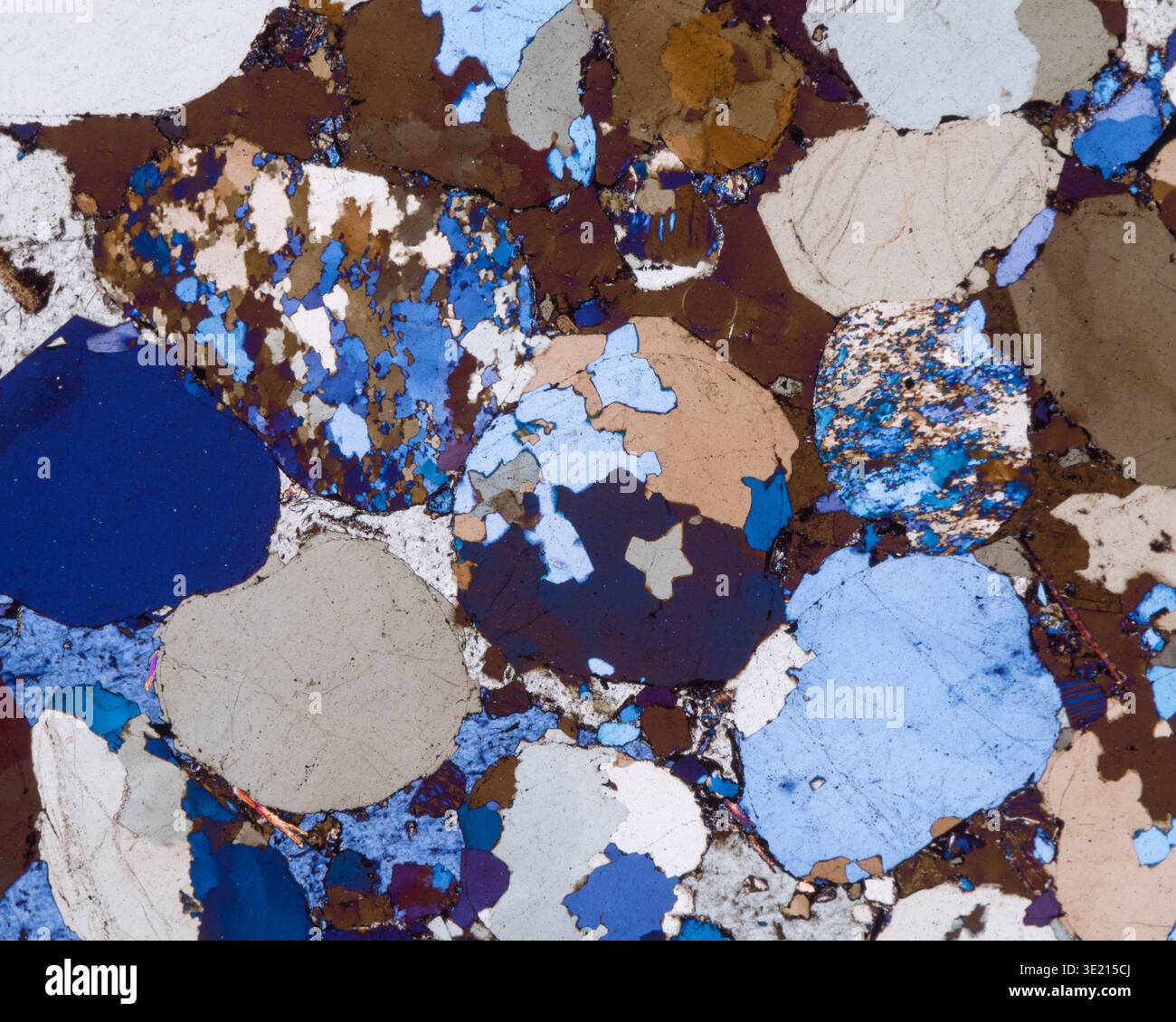 Polarised light micrograph of Middle Bunter sandstone from a boulder field in Welzberg by Calw, Black Forest, Germany. Bunter sandstone mainly consists of sandstone layers of the Lower Triassic series. It is one of three characteristic Triassic units, together with the Muschelkalk and Keuper that form the Germanic Trias Supergroup. Bunter sandstone is similar in age, facies and lithology to the Bunter of the British Isles. It normally lies above Permian Zechstein and below Muschelkalk. It formed between 251 and 243 million years ago. Magnification: x60 when printed at 15 centimetres wide. Stock Photo