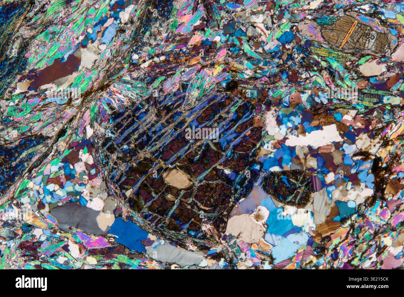 Polarised light micrograph of migmatite from Kesselalm, Proveis, South Tyrol, Italy. Migmatite is a highly metamorphic rock found in the Eastern Alps. It was formed from sedimentary rock such as shale or greywacke that experienced such high temperatures and pressures that its feldspar and quartz components partially melted. This metamorphosis took place 335-385 million years ago. Migmatite is composed of quartz, feldspar, garnet, kyanite, biotite, and light mica (muscovite). Magnification: x30 when printed at 15 centimetres wide. Stock Photo