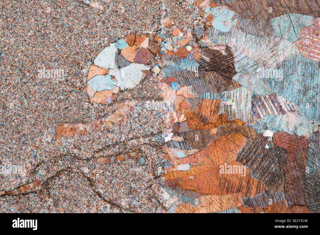 Polarised light micrograph of limestone from Villnosstal, South Tyrol. This rock was formed from Triassic marine sediment and has fossil inclusions of snail and mussel shells. It was deposited 255-248 million years ago. Magnification: x60 when printed at 15 centimetres wide. Stock Photo