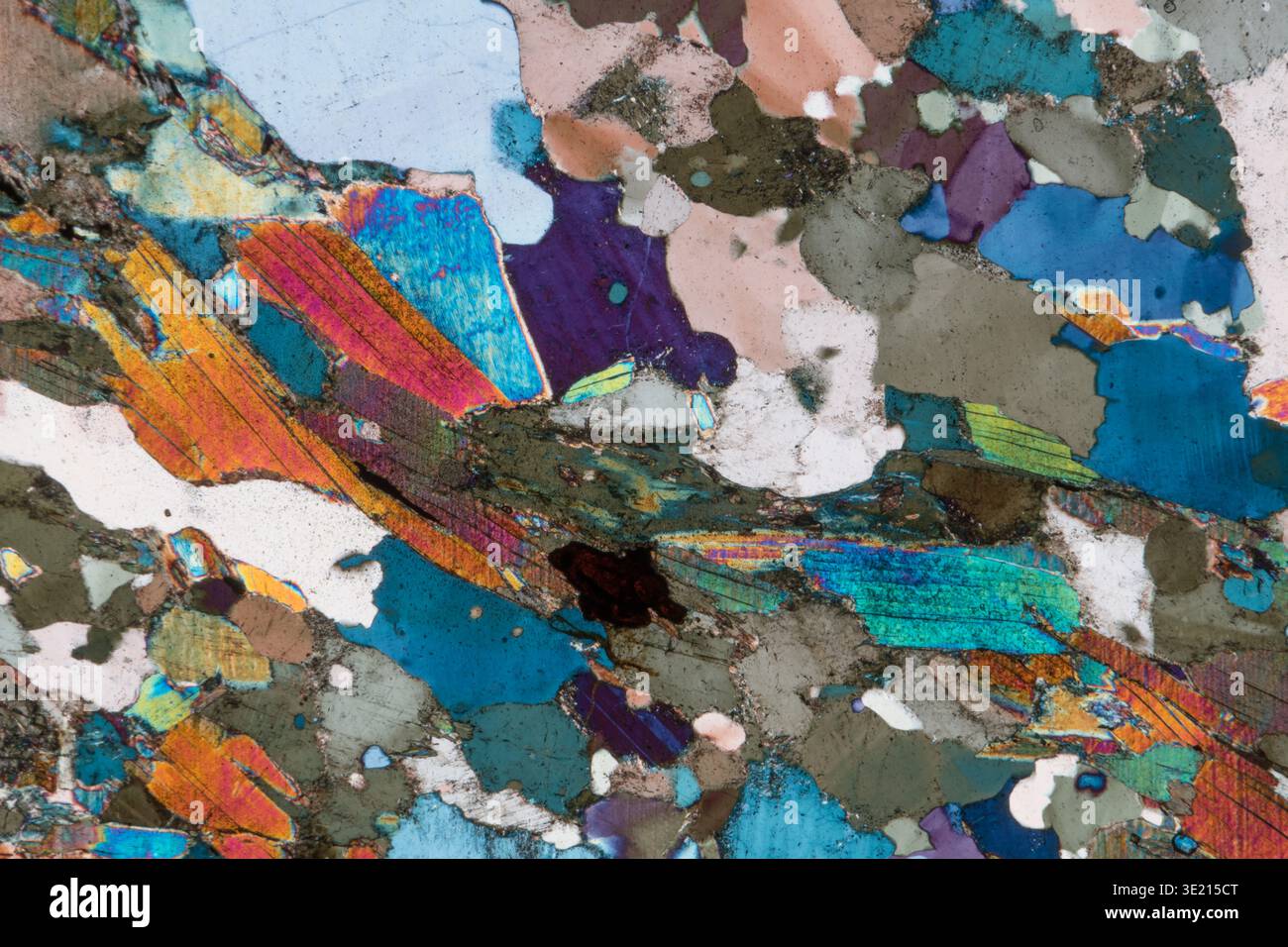 Polarised light micrograph of orthogneiss from the Kesselalm area, Proveis, South Tyrol, Italy. Orthogneiss is a two-mica gneiss of the crystalline basement of the Eastern Alps. It is formed by a moderate metamorphic transformation of igneous rocks such as granite, diorite or syenite. Orthogneiss consists of quartz, potassium feldspar, plagioclase, mica and biotite. This stone also contains garnet (splintered grains). The main metamorphosis of orthogneiss was 350-380 million years ago. Magnification: x60 when printed at 12 centimetres wide. Stock Photo