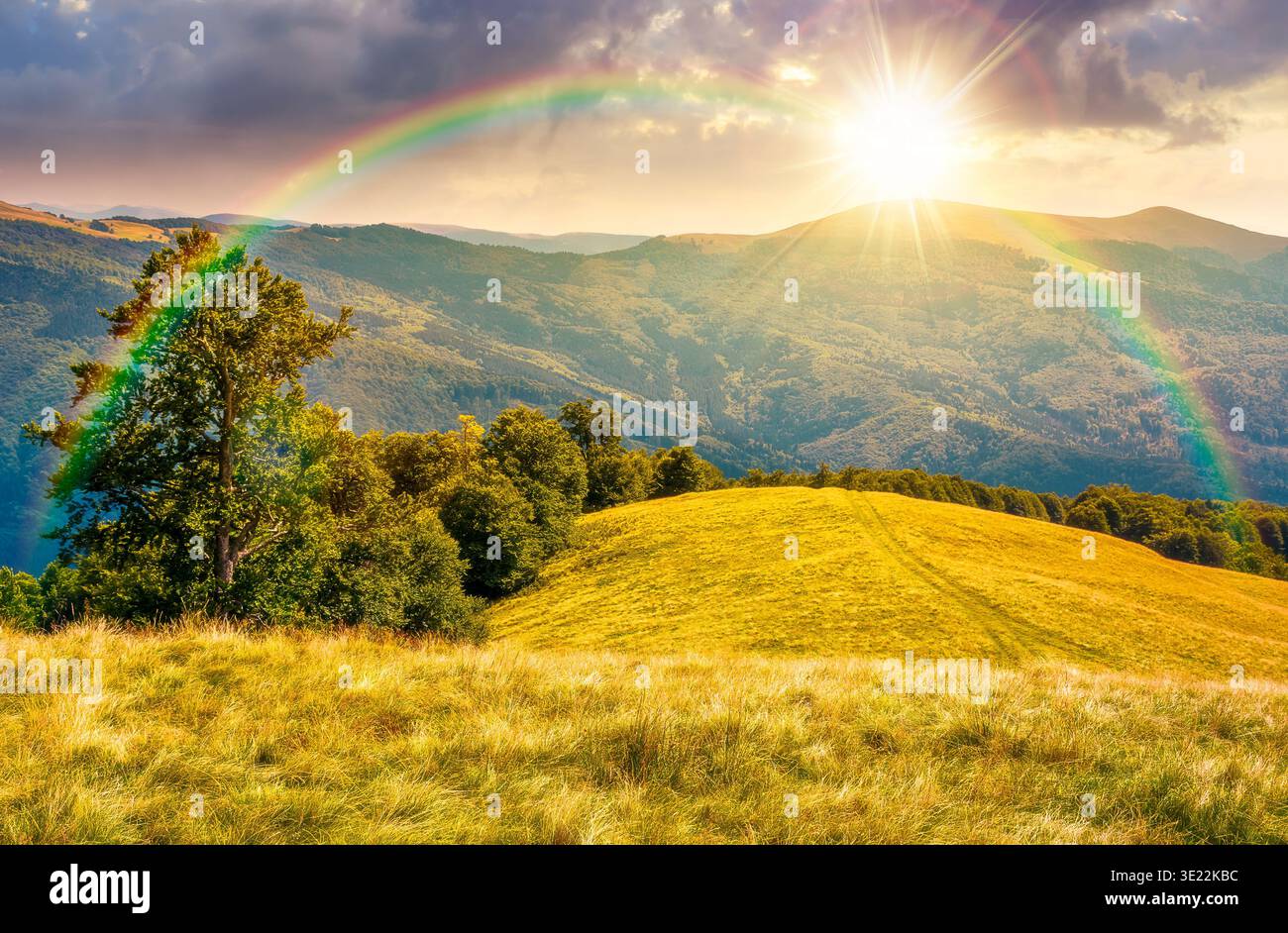 sunset over mountainous landscape in late summer. gorgeous highland woods. grassy meadow under cloudy sky with rainbow. countryside scenery picture wi Stock Photo