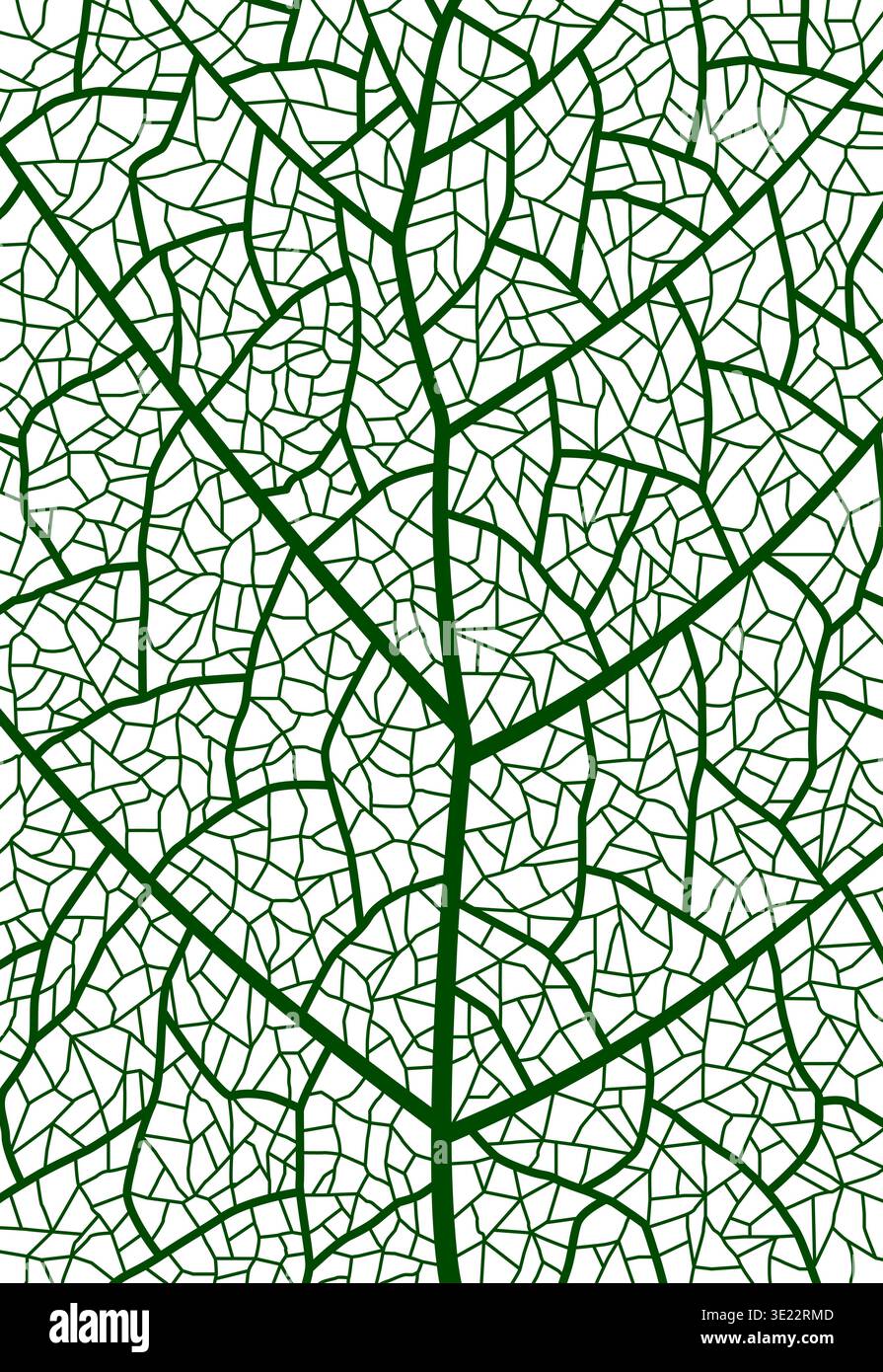 Green tree leaf veins closeup texture pattern Stock Vector