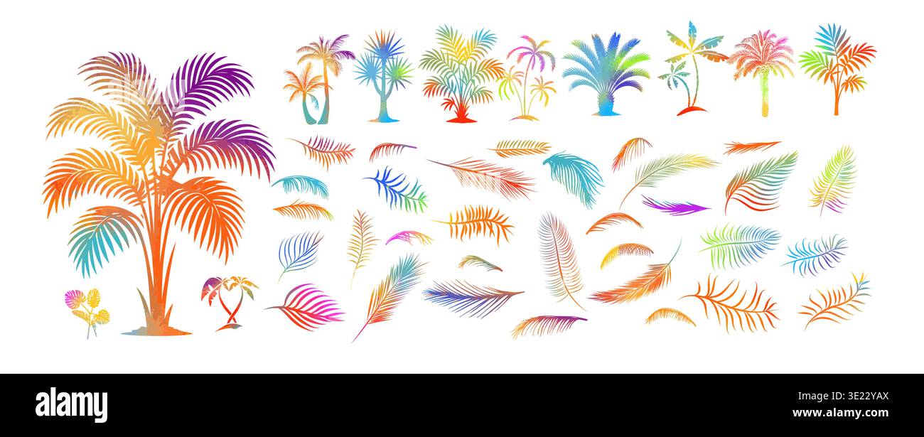 Palm tree colored objects and palm leaves set . Hand drawn. Not AI, vector illustration. Stock Vector