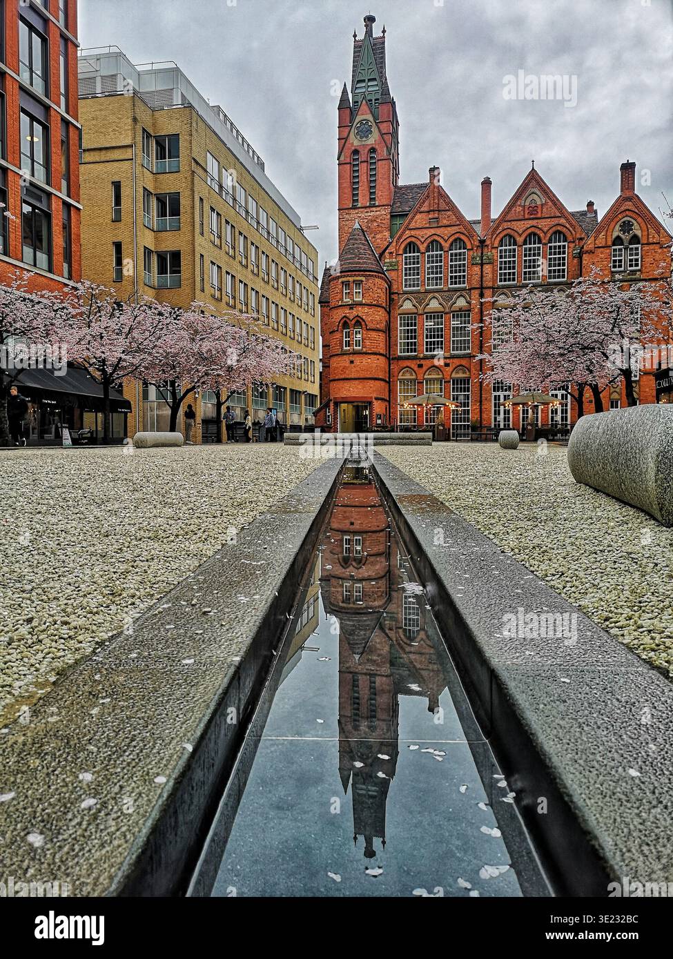 Cherry blossom in full bloom at Brindley Place, Birmingham, with the Ikon Gallery reflected in the water, capturing spring in the city. - Smartphone Captured Stock Image