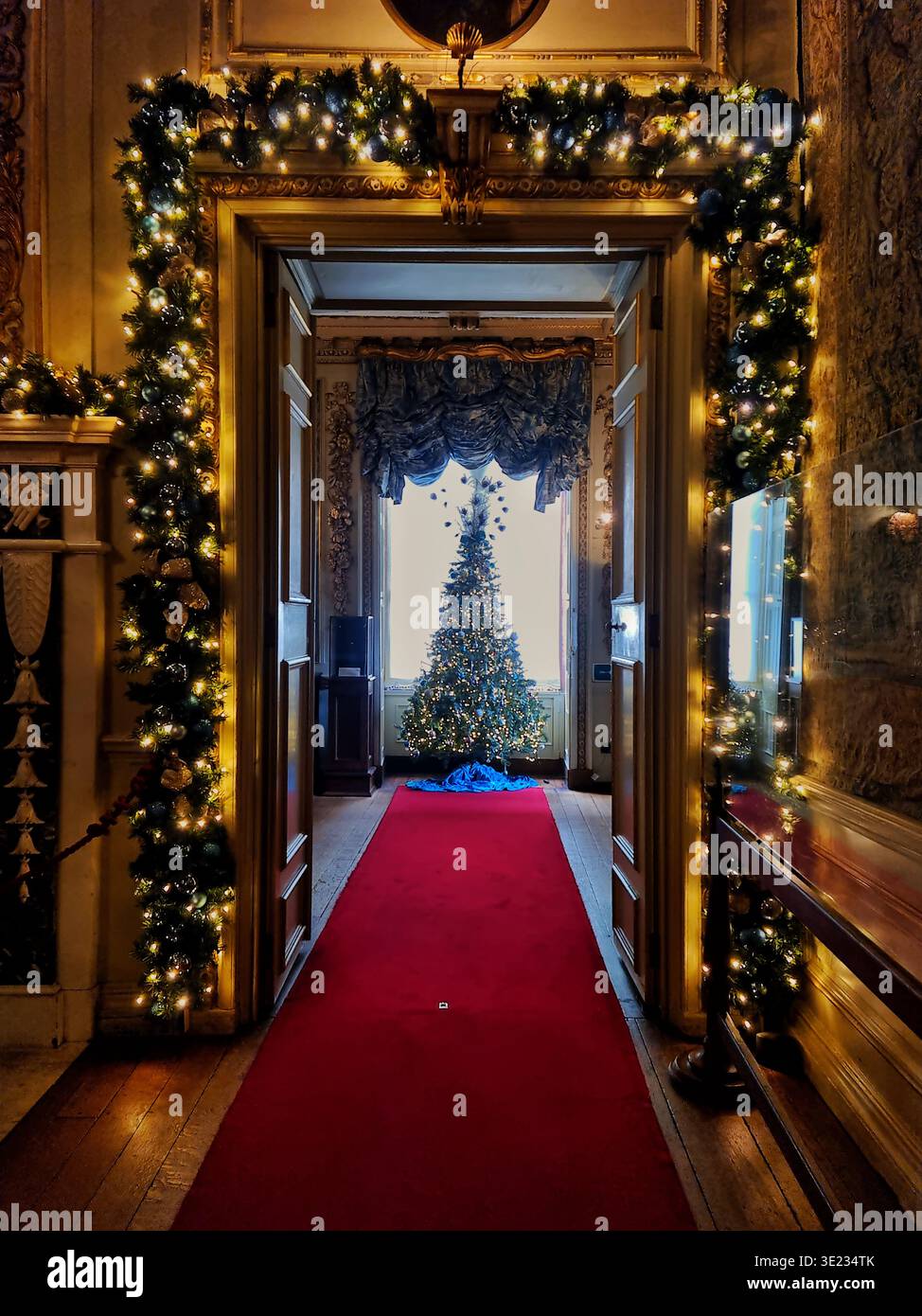 Warwick Castle Christmas tree viewed from a distance, red carpet leading to the display, ornate garland framing the doorway and peacock feather decor - Smartphone Captured Stock Image