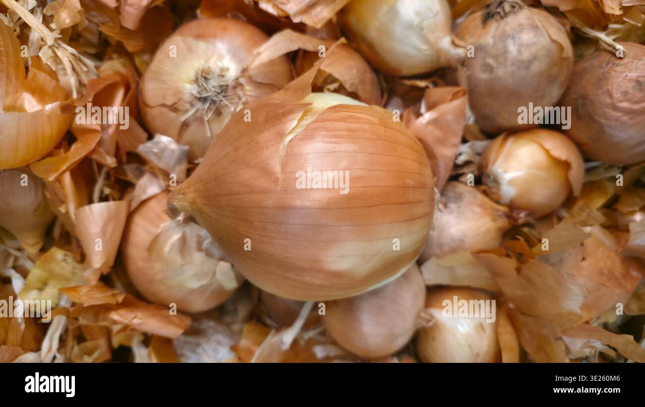 Close-up of fresh brown onions with natural papery skins, organic vegetables arranged together as a healthy cooking ingredient and agricultural food b - Smartphone Captured Stock Image