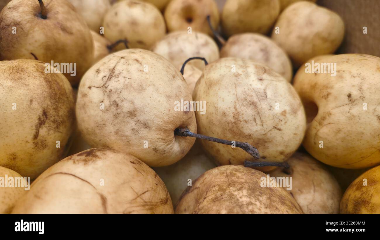 Close-up of fresh Asian pears with smooth yellow skin, ripe organic fruits, gathered together as a healthy natural food background for nutrition and a - Smartphone Captured Stock Image