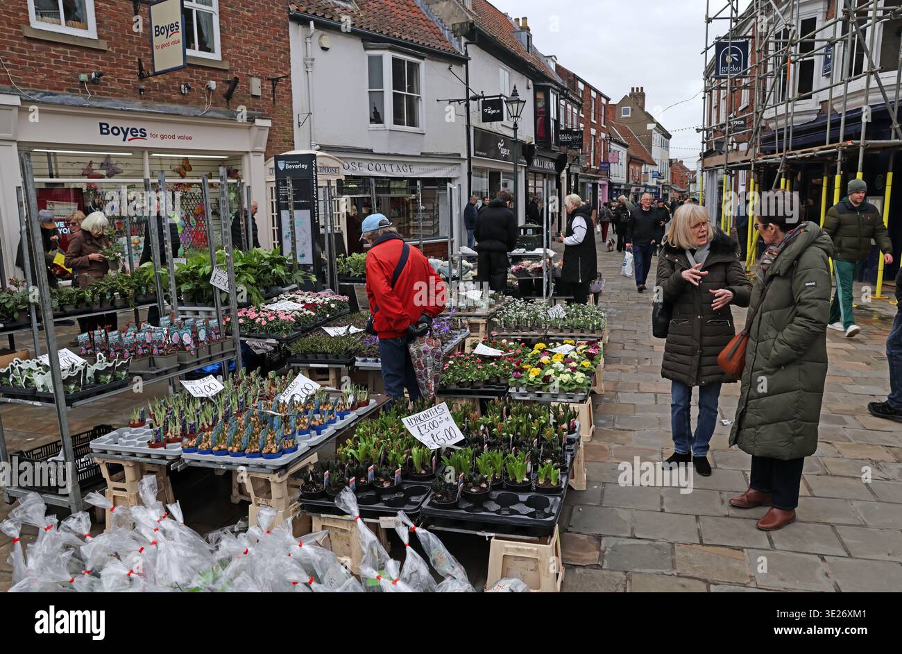 Busy Wednesday Market with flower and plant stalls in Beverley, East Riding of Yorkshire, England. Stock Photo