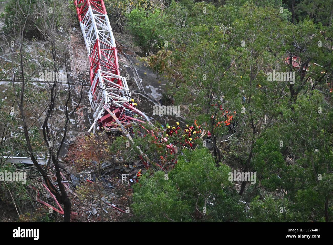 A tower crane collapsed at a construction site for a public housing ...