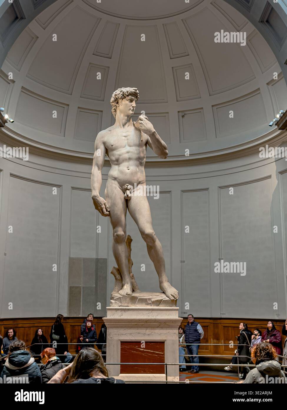 David Rennaissance Michelangelo’s David a masterpiece of Renaissance sculpture, carved ...