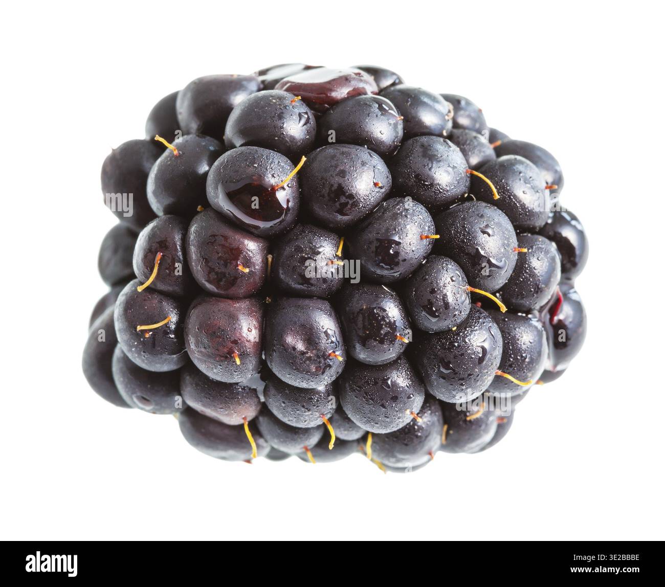 Ripe blackberry isolated on white background Stock Photo