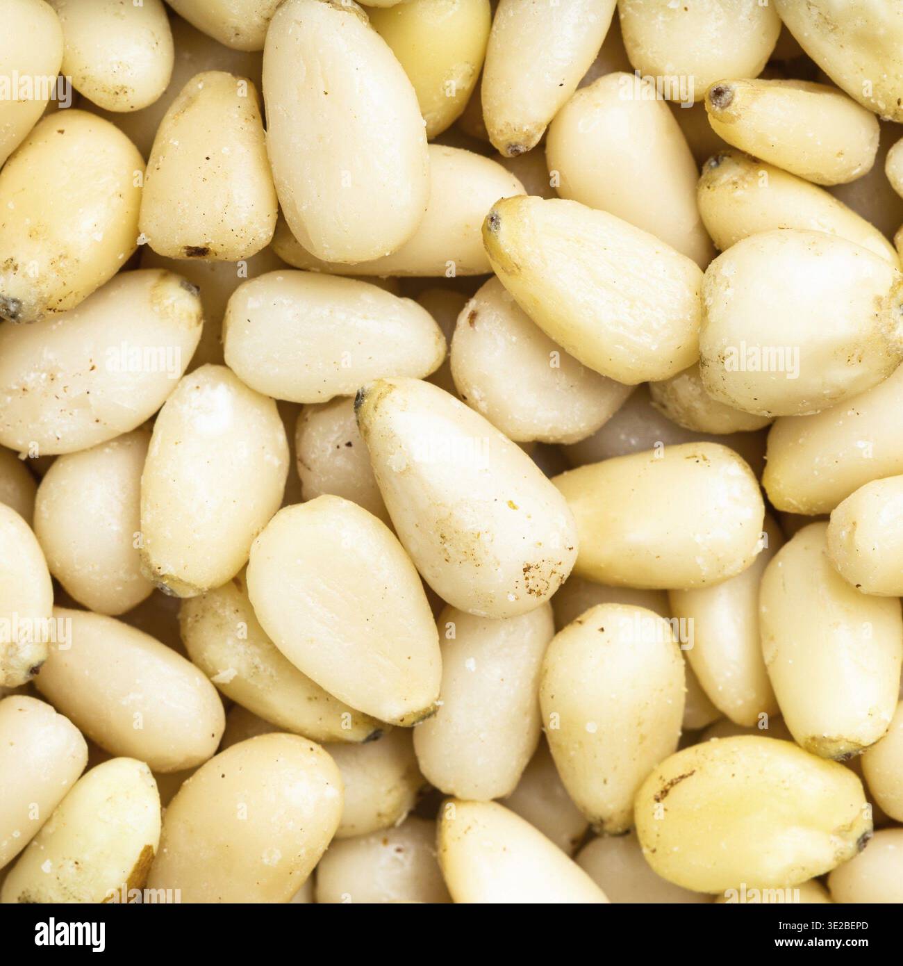 Square food background - shelled pine nuts close up Stock Photo
