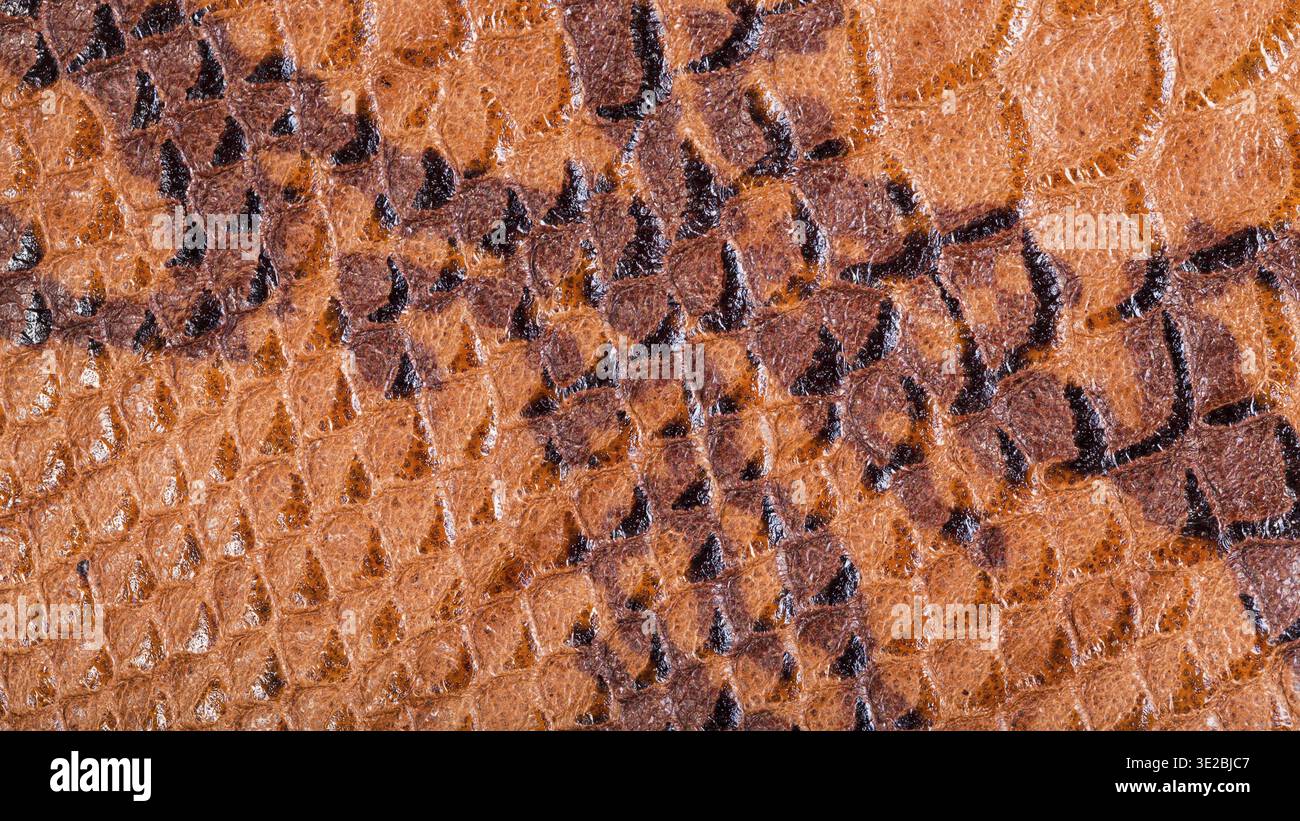 Textured panoramic background from snakeskin leather close up Stock Photo