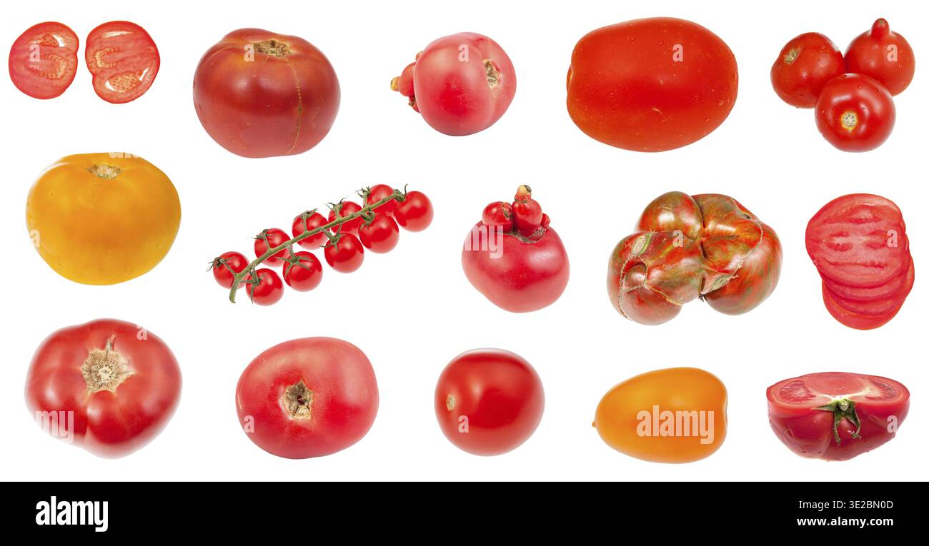 Various fresh tomatoes isolated on white background Stock Photo