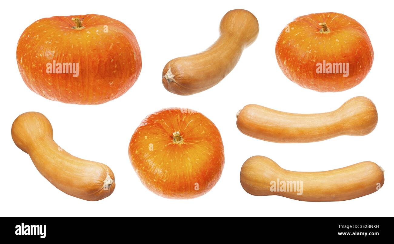Various orange pumpkins isolated on white background Stock Photo