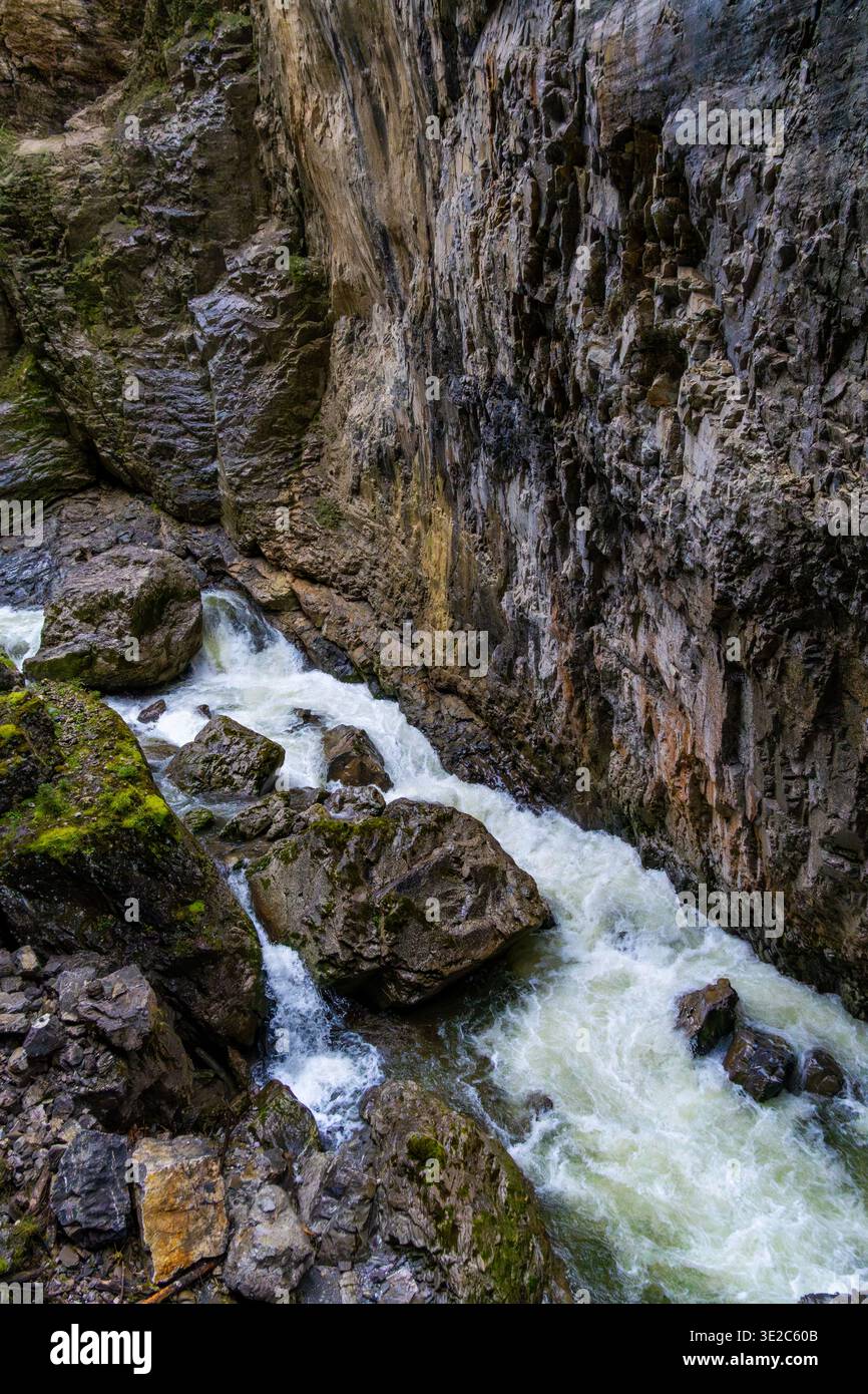 Cutting Rushes A dynamic mountain gorge scene featuring a fast-flowing river cutting ...