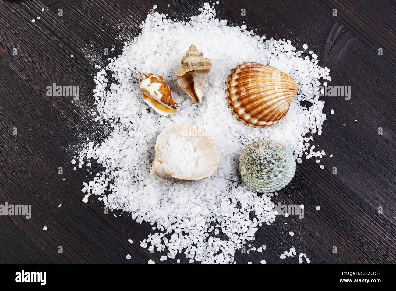 Top view of coarse grained Sea Salt and seashells on dark brown wooden board Stock Photo