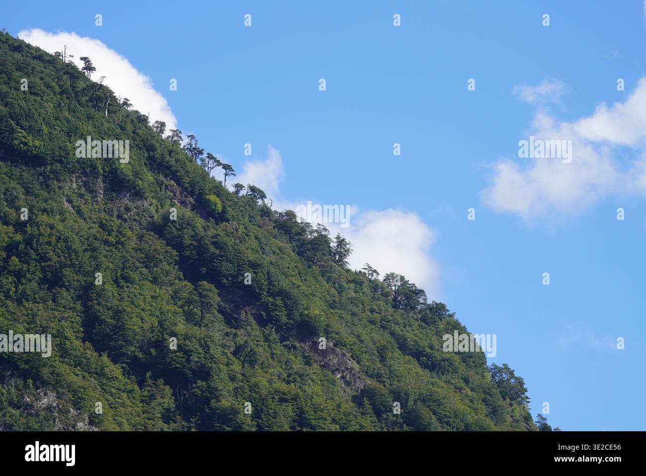 Paisaje nativo hi-res stock photography and images - Alamy