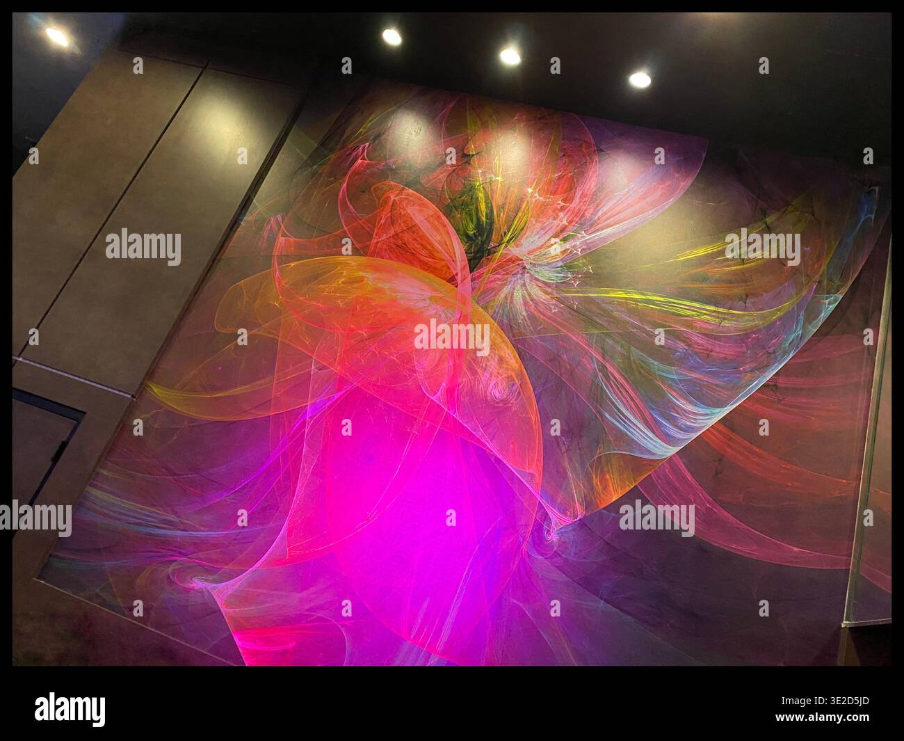 Abstract light swirl patterns. Stock Photo