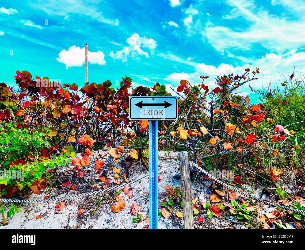 Double arrow sign "LOOK." - Smartphone Captured Stock Image