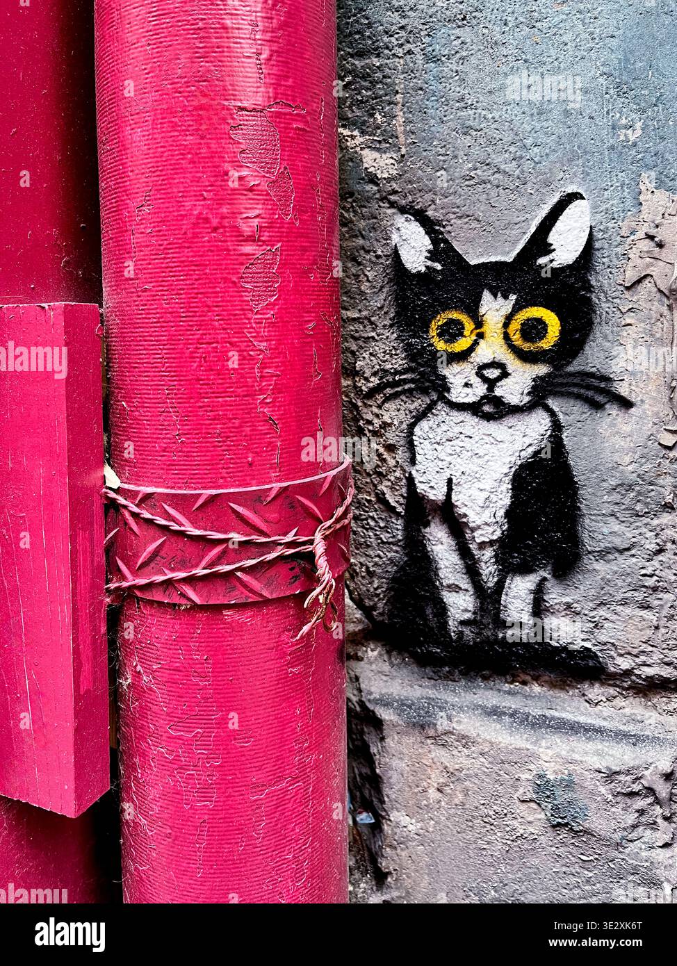 Spray painting cat on a building wall of Montmartre - Paris - France - Smartphone Captured Stock Image
