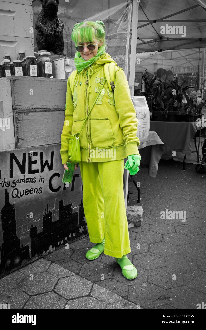 Green lady of brooklyn hi-res stock photography and images - Alamy