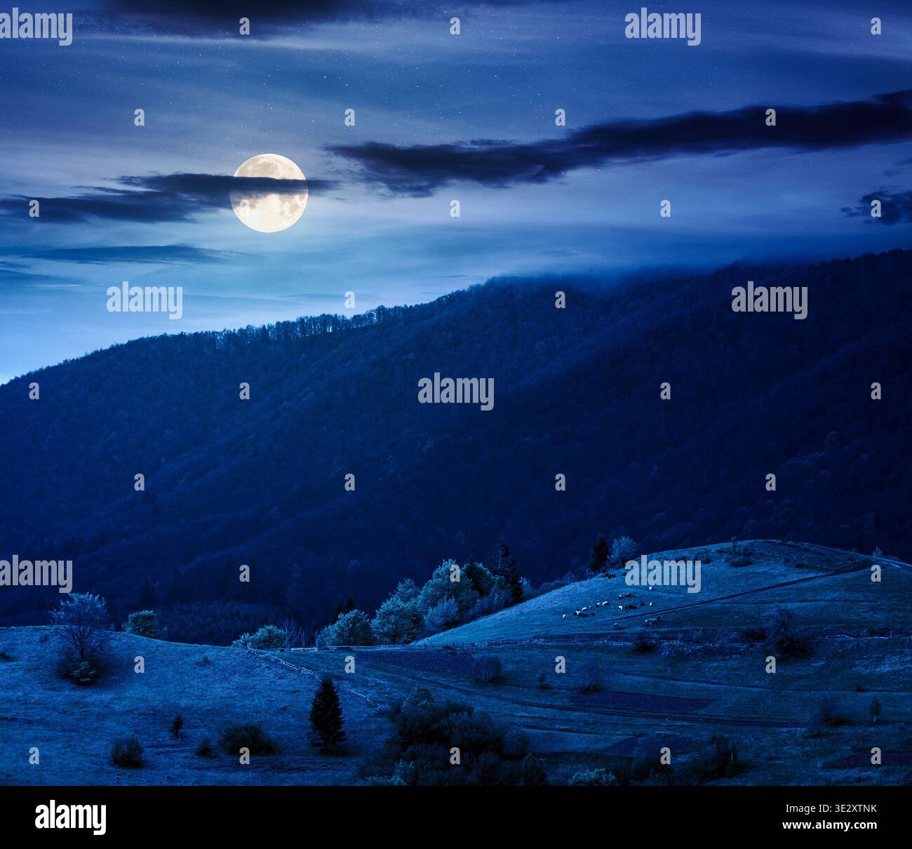 rural mountain landscape during spring at night. wonderful countryside scenery on a cold weather in full moon light. cloudy sky above rolling hills in Stock Photo