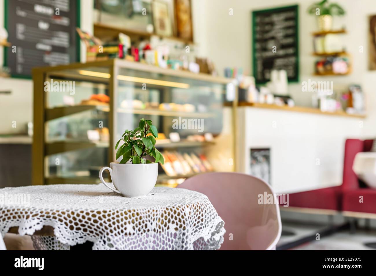 Minimal interior scene small plant hi-res stock photography and images ...
