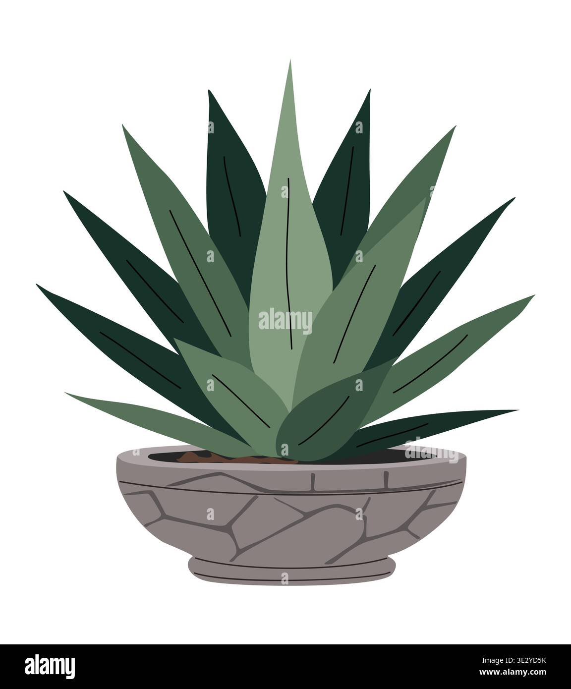 Stylized succulent sits in a textured stone pot Stock Vector
