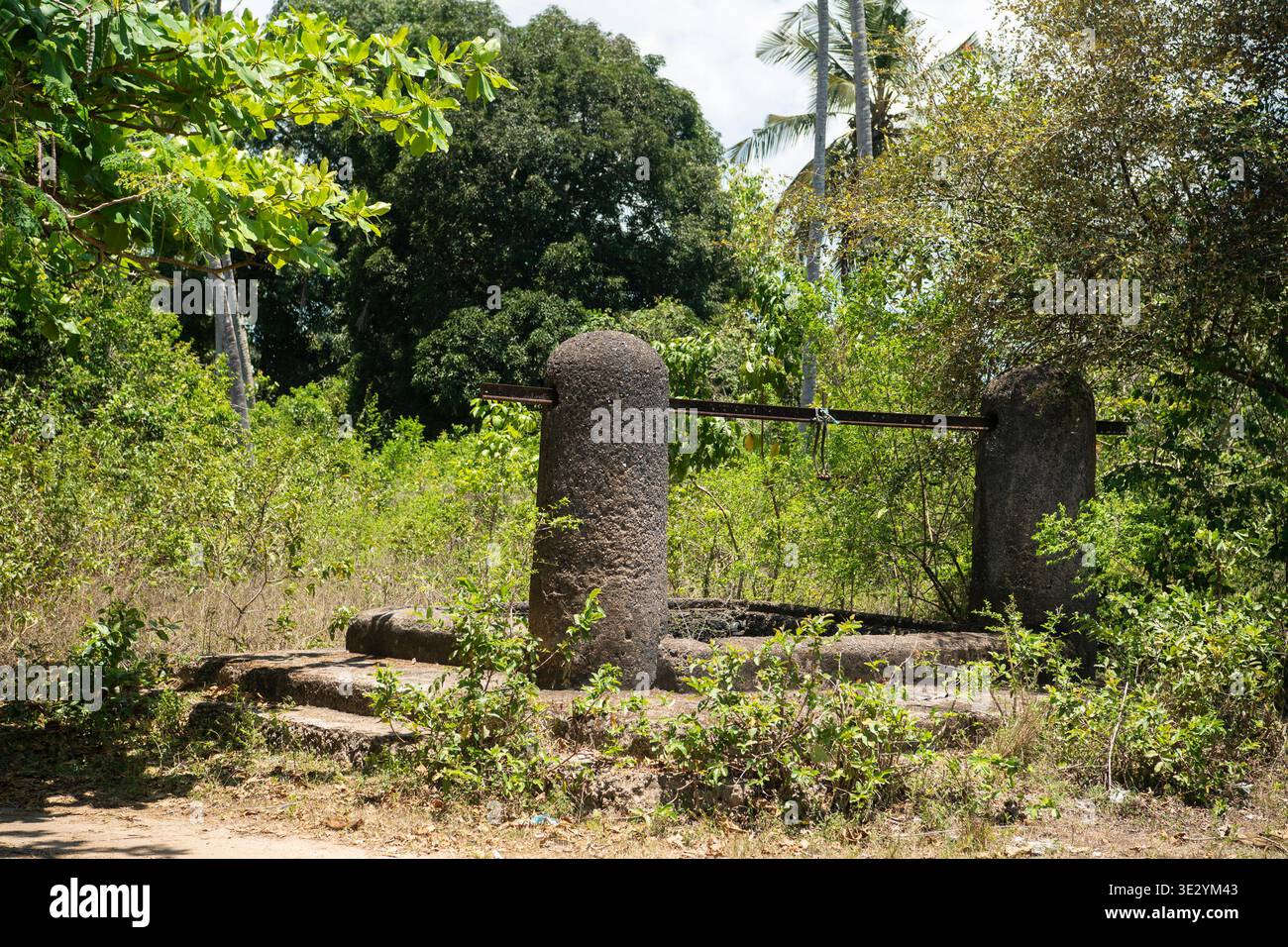 Ancient well at Unguja Ukuu, protected archeological site, Zanzibar Stock Photo