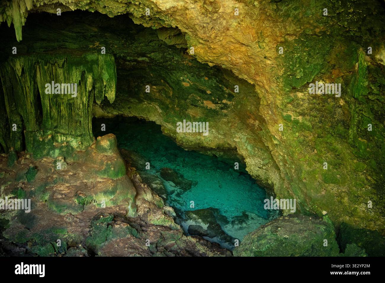 Kuza Cave, Zanzibar, Tanzania Stock Photo
