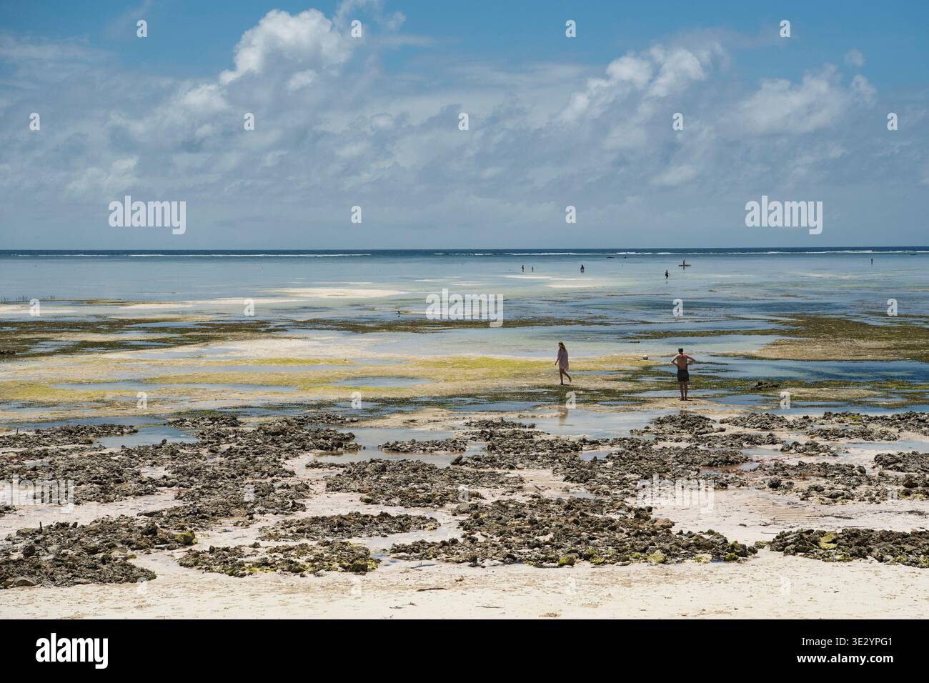 Makunduchi Beach at low tide, Zanzibar, Tanzania Stock Photo