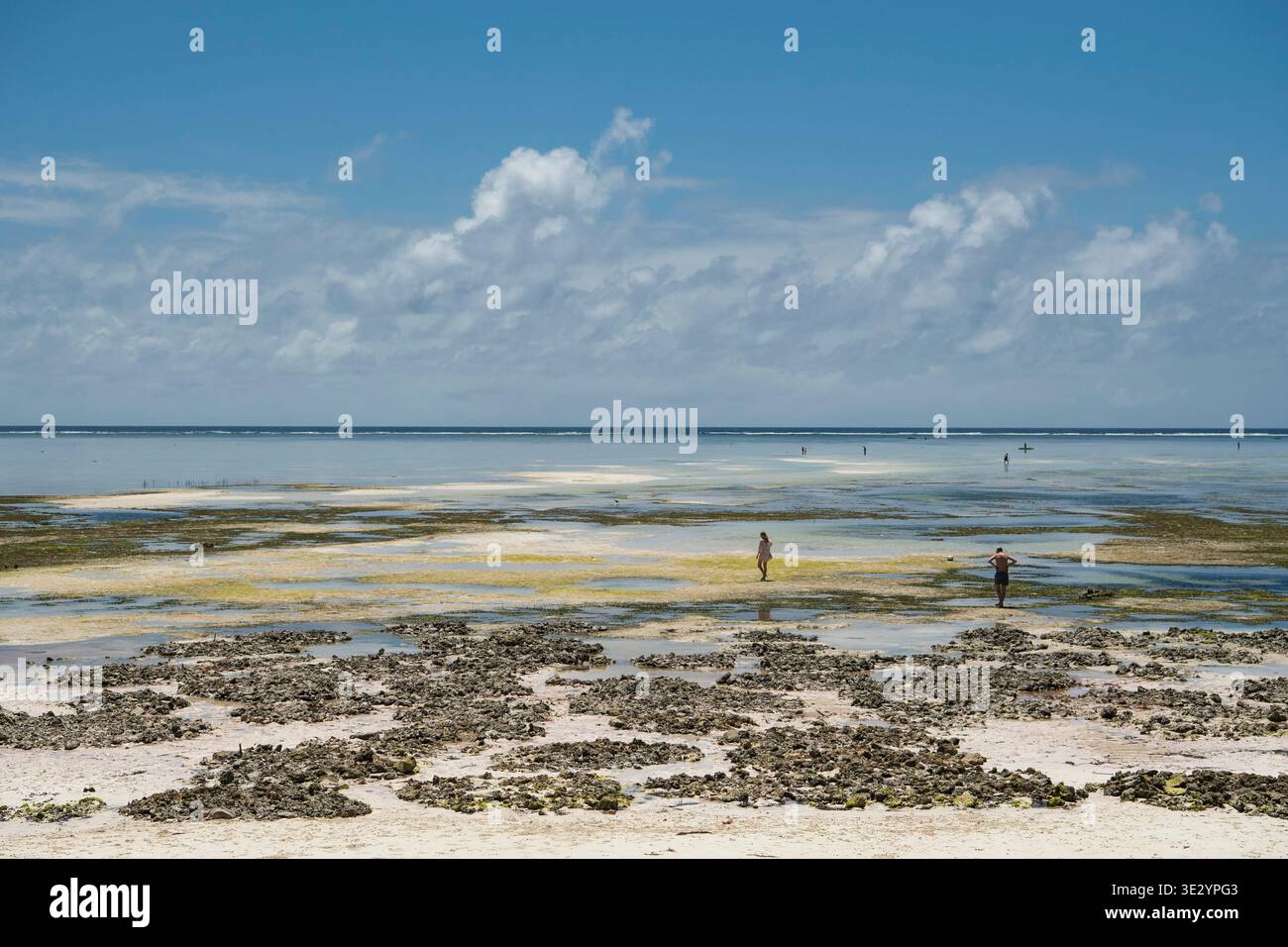Makunduchi Beach at low tide, Zanzibar, Tanzania Stock Photo