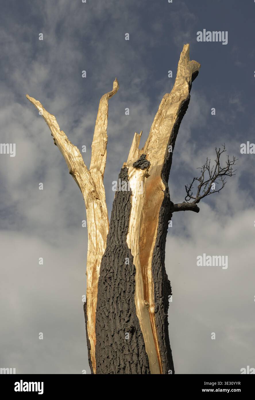 Masterful design hi-res stock photography and images - Alamy