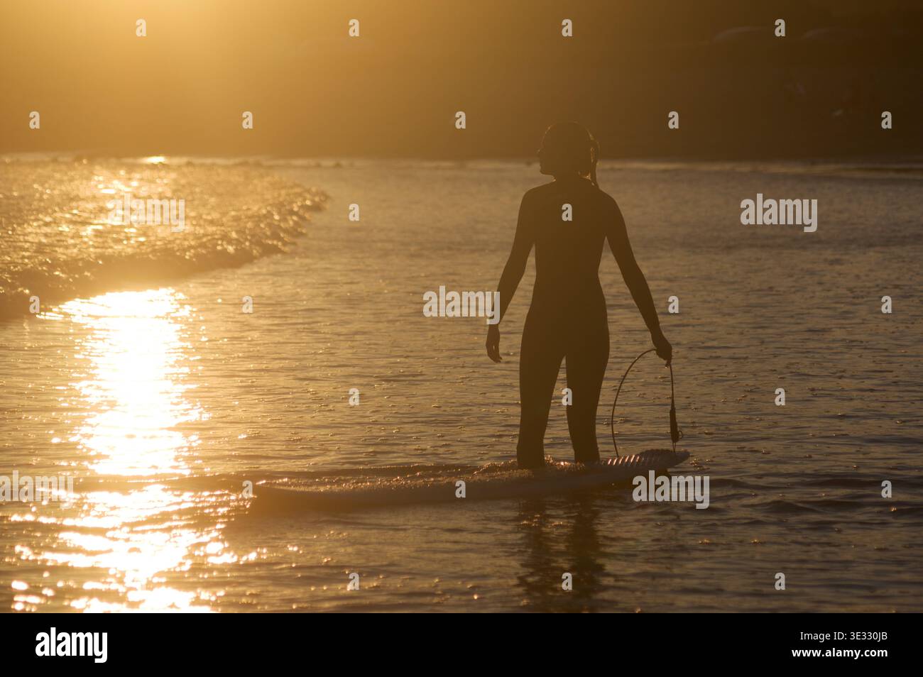 Backlit single female surfer on a Breton beach stands in shallow water looking out to see in golden light Stock Photo