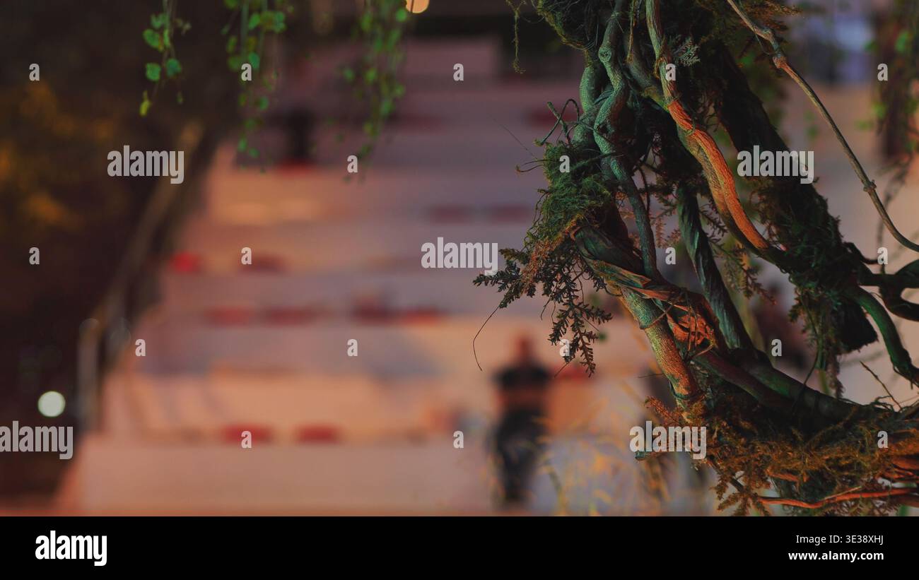 Growing roots and moss creating abstract pattern with blurred background figures Stock Photo