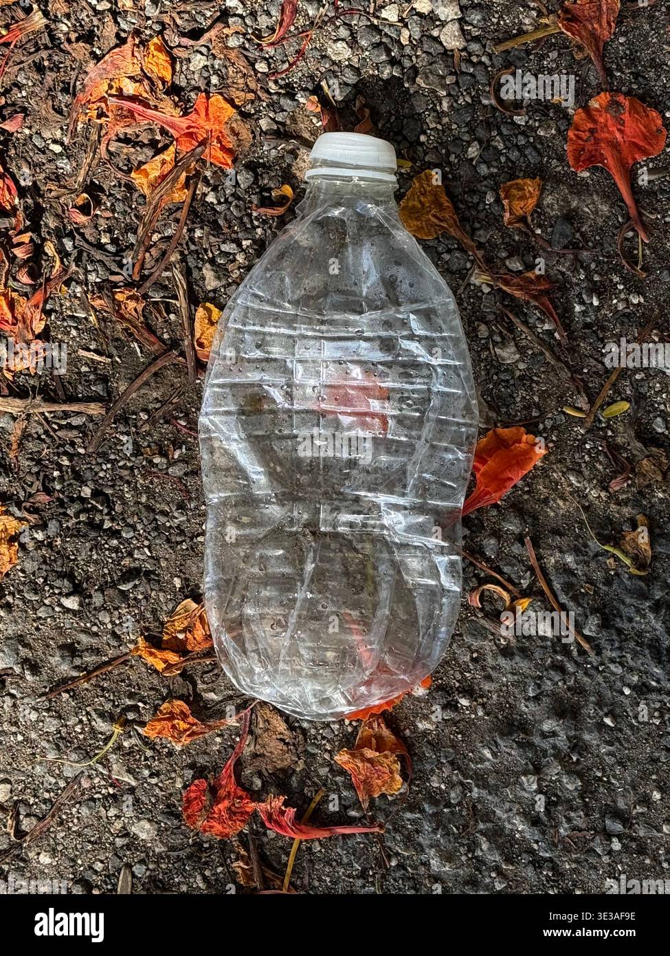 Crushed plastic bottle Stock Photo