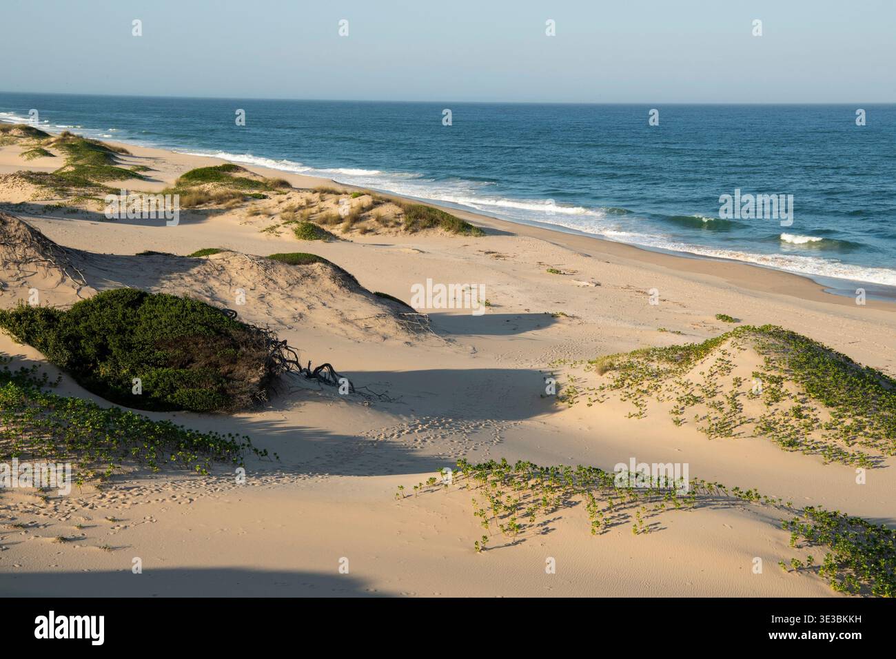 Beach, Tofo, Mozambique Stock Photo