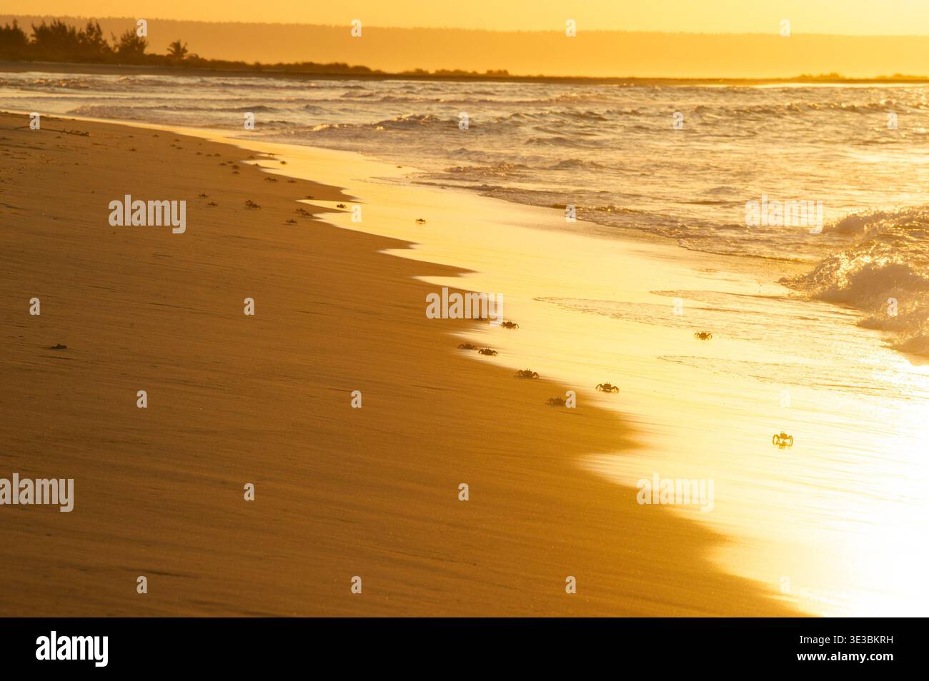 Sunset over the ocean, Tofo, Mozambique Stock Photo