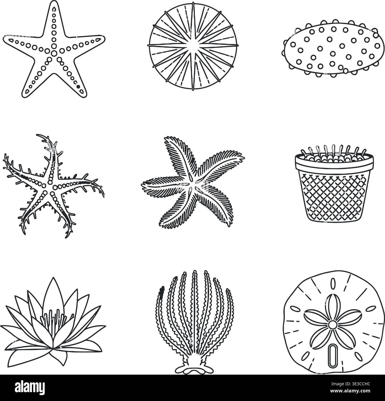 Sea Life Line Art Vector Set, Starfish, Sea Urchin, Sand Dollar, and ...
