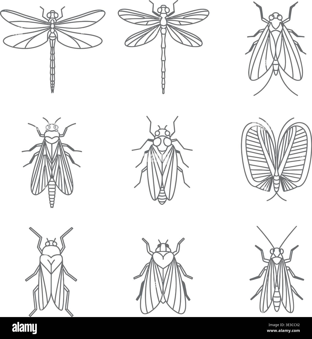 Cicada flying drawing hi-res stock photography and images - Alamy