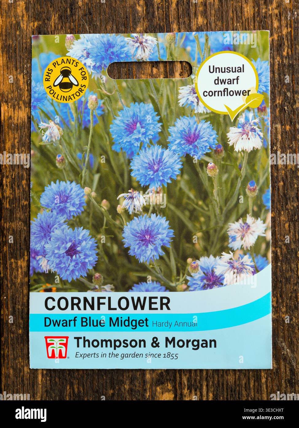Cornflower seeds hi-res stock photography and images - Alamy